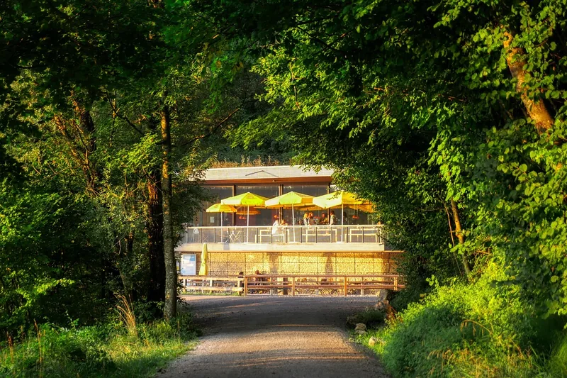 Waldweg führt zu einem kleinen Haus mit gelben Sonnenschirmen auf der Terrasse, ringsum Laubwald im Abendlicht