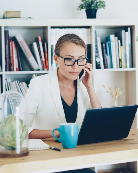 Doreen Schaper telefoniert am Schreibtisch im Büro, vor ihr ein Laptop.