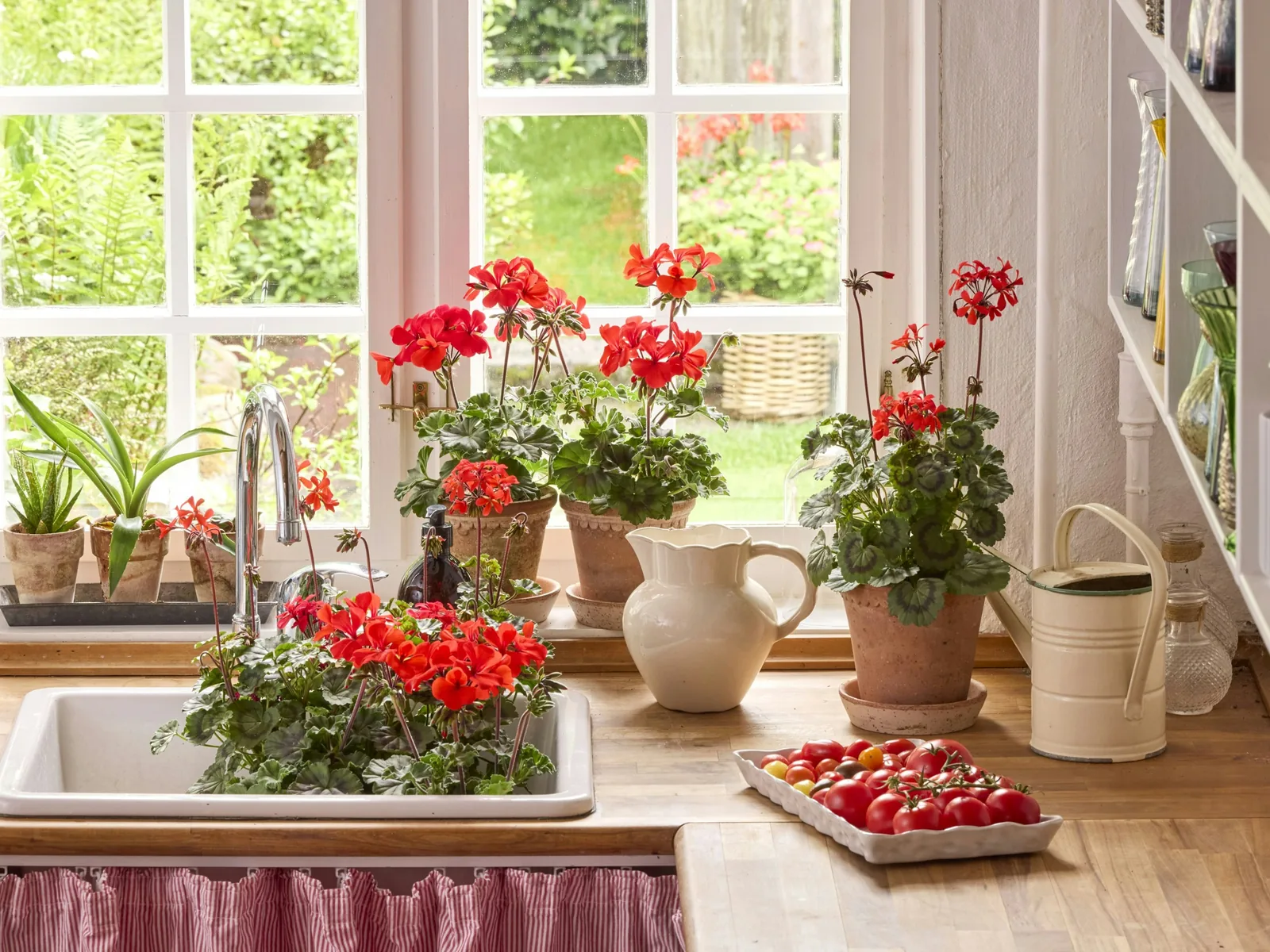 Küchenfenster mit roten Geranien, Spüle und Holzarbeitsplatte