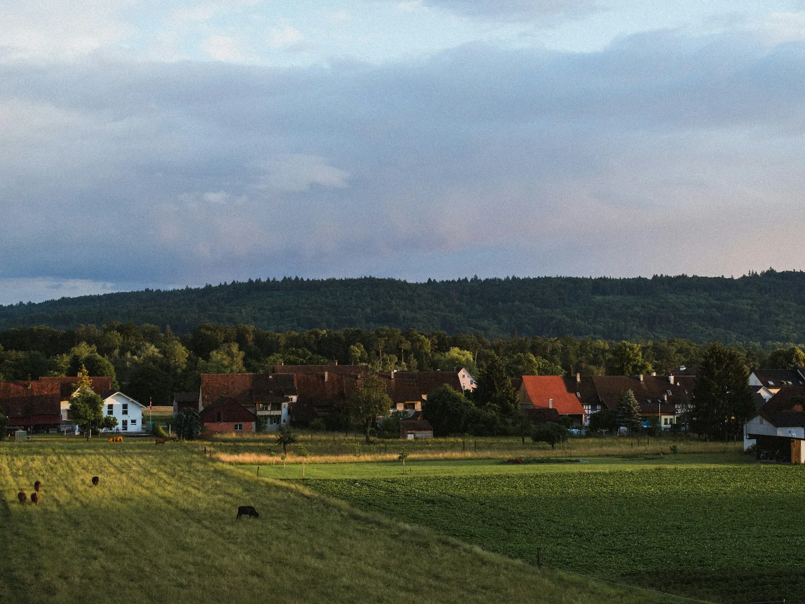 Wiese am Dorfrand, dahinter Häuser mit roten Dächern und ein bewaldeter Hügel