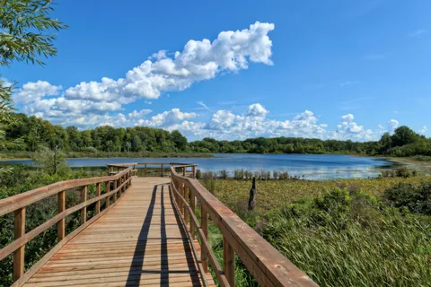 Holzsteg durch Schilf zu einem See am Waldrand unter blauem Himmel